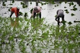 download - 2025-07-19T210509.844